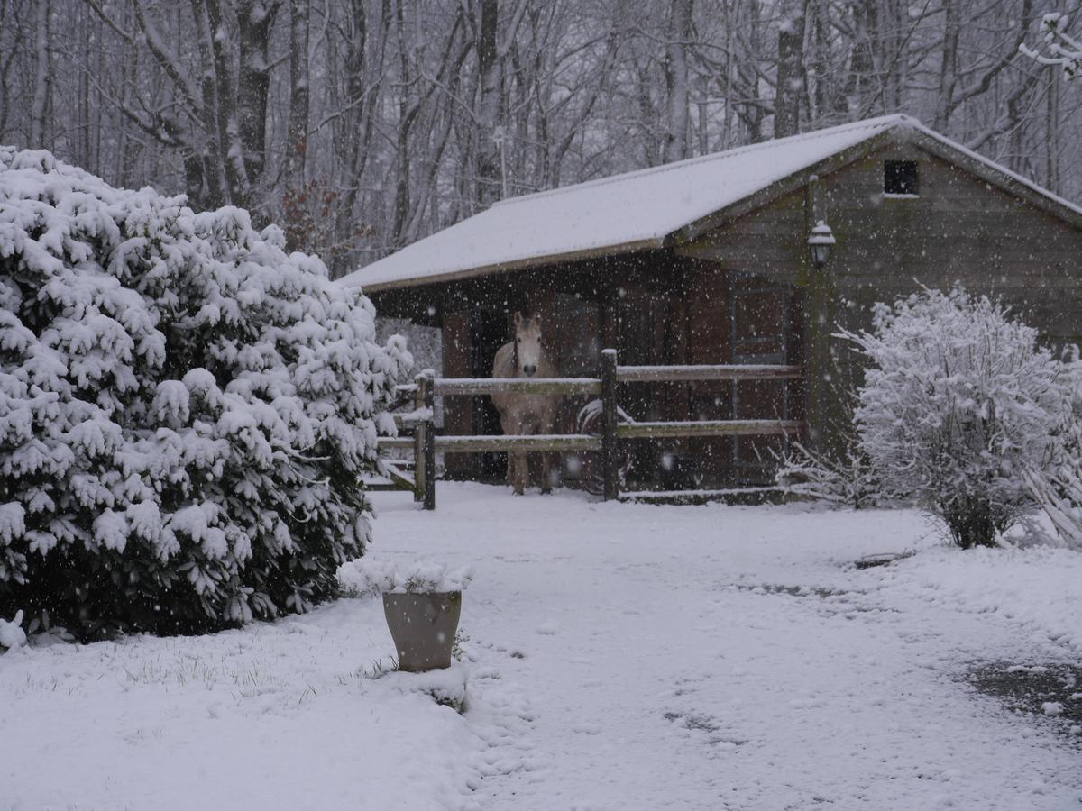 Domaine Du Vertbois Bed & Breakfast La Haye-du-Theil Exterior photo