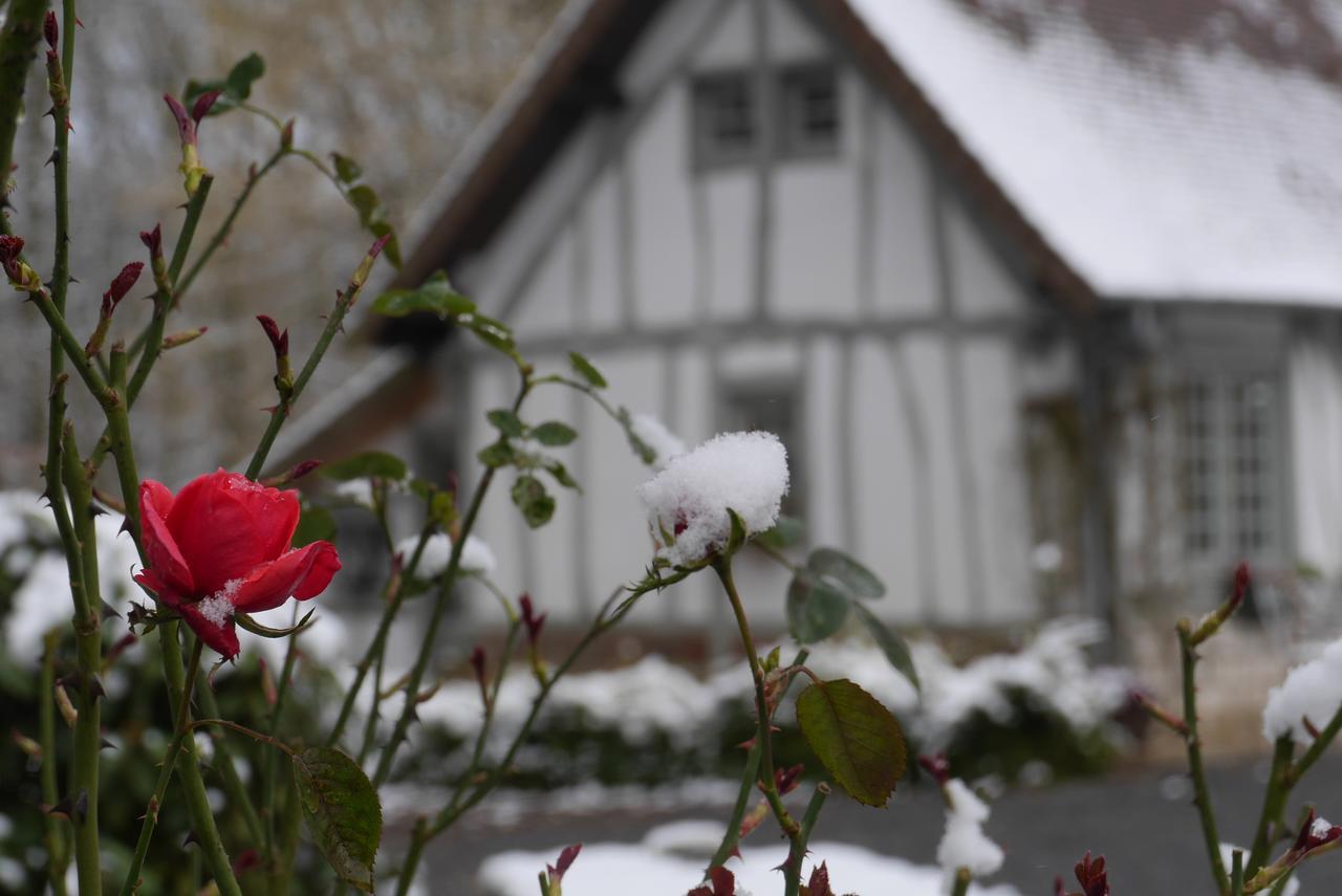 Domaine Du Vertbois Bed & Breakfast La Haye-du-Theil Exterior photo