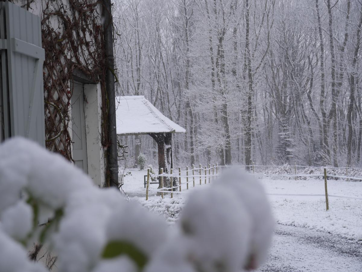 Domaine Du Vertbois Bed & Breakfast La Haye-du-Theil Exterior photo