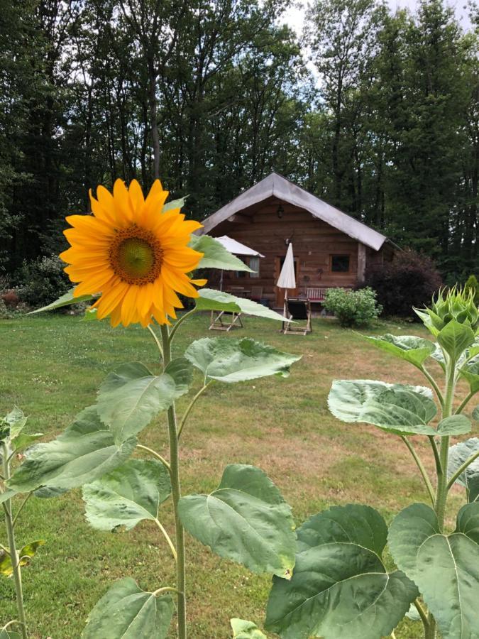 Domaine Du Vertbois Bed & Breakfast La Haye-du-Theil Exterior photo